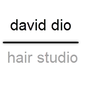 CT Hair Salon - David Dio Hair Studio Logo